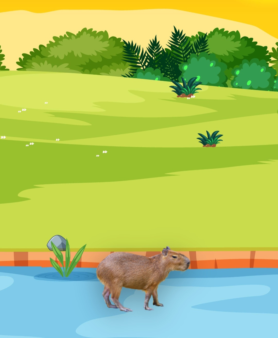 Capybara Main Oyun Oyna