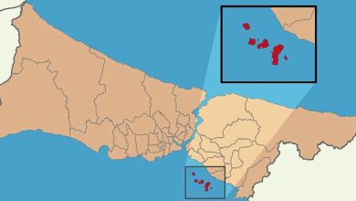 İstanbul Adalar’da Deprem Fırtınası: 2 Gün İçinde 117 Sarsıntı Neden?