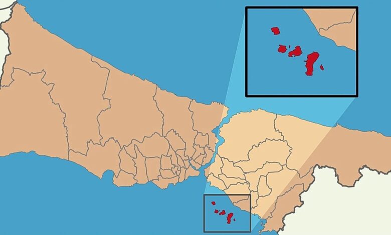 İstanbul Adalar’da Deprem Fırtınası: 2 Gün İçinde 117 Sarsıntı Neden?