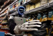 Danimarka’da Gece Vardiyasında İnsan Benzeri Robotlar: Geleceğin Marketleri