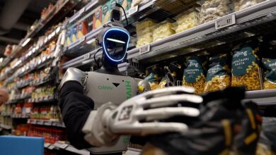 Danimarka’da Gece Vardiyasında İnsan Benzeri Robotlar: Geleceğin Marketleri
