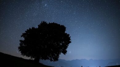 Ekim Gecelerinde Gökyüzü Şöleni: Drakonid ve Orionid Meteor Yağmurları