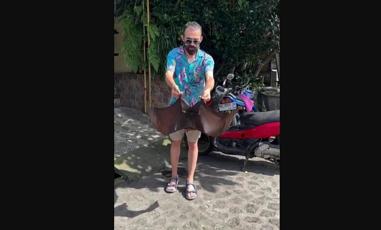 Youtuber’ı Isıran Yarasalar: Ne Kadar Tehlikeli ve Türkiye’de Durum Ne?