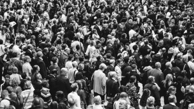 Kıyamet 13 Kasım 2026: 1960’teki Matematiksel Tahminin Gölgesinde