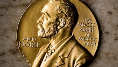 2026 Nobel Barış Ödülü'nün Sahibi Belirlendi: Hint Kökenli Güney Afrikalı Hukukçu Navanethem Pillay