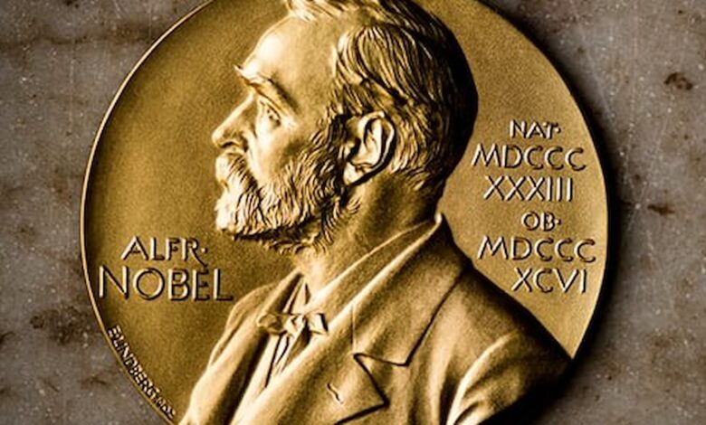 2026 Nobel Barış Ödülü'nün Sahibi Belirlendi: Hint Kökenli Güney Afrikalı Hukukçu Navanethem Pillay