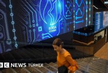 Cumhurbaşkanı Başdanışmanı Saral: Fon Krizi Soruşturmasında Politika Oyunu Olmasın