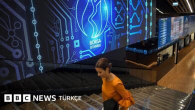 Cumhurbaşkanı Başdanışmanı Saral: Fon Krizi Soruşturmasında Politika Oyunu Olmasın