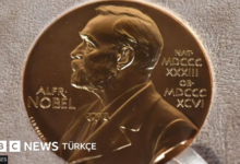 Nobel Tıp Ödülü, Sinir Hücrelerinin Duygusal Düzenleyiciliğini Açığa Çıktı