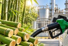 Petrolün Yeni Rakibi: Toprakta Yetişen Biyomineral Enerji Kaynağı