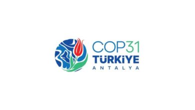 COP31 Logosu: Türk Bayrağı Kırmızısı ve Anadolu İzleriyle Küresel İklim Mücadele Mesajı