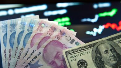 BBVA’nın Kur ve Faiz Değerlendirmesi: İndirim İçin İki Temel Sebep