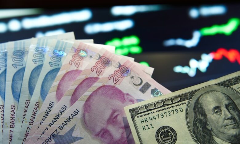 BBVA’nın Kur ve Faiz Değerlendirmesi: İndirim İçin İki Temel Sebep