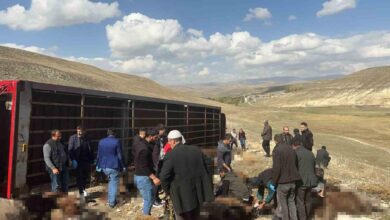 Erzurum'da Tır Çarpması: 130 Küçükbaş Hayvanın Kayıpları