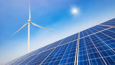 Güneş ve Rüzgar Enerjisinde Rekor Kırıldı: Ağustos Ayı En Yüksek Elektrik Üretimini Gerçekleştirdi