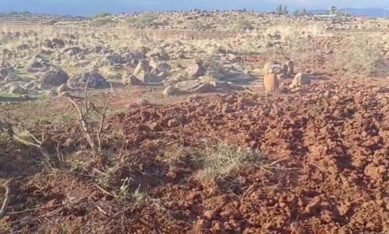 Dağ Ceylanları İçin Kırıkhan'da 699 Bin Lira Cezaya Uğrayan Kişi