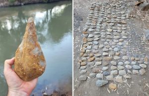 Afrika’dan Çıkış Yolunda Dev Fillerin İzleri