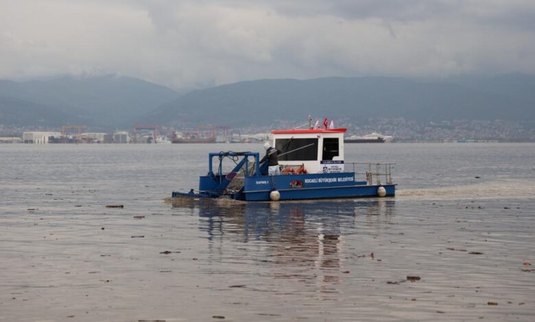 İzmit Körfezi'nde 10 Kamyonluk Atık Çıkarımı: Doğanın Yeniden Temizlenmesi