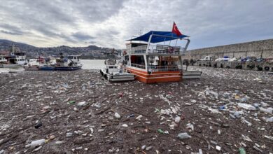 Zonguldak Limanı'nda Sağanak Sonrası Evsel Atıklar Su Yüzeyini Kapladı