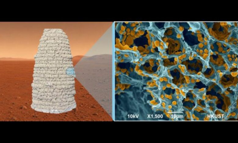 Pioneer Labs’ın Mikroplarla Mars’ı Yeşertme Planı: Geleceğin Ekolojik Mühendisliği