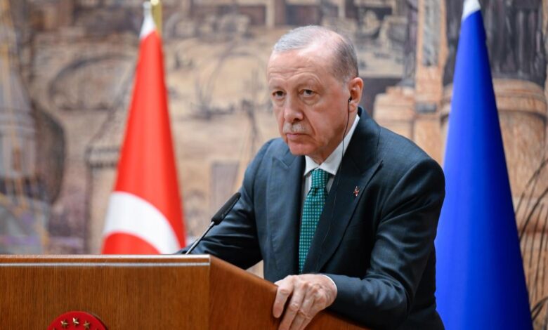 Barış Yolunda Yeni Adımlar: Erdoğan’ın Diplomasi Vurgusu