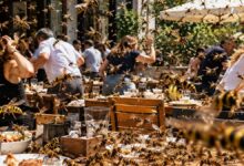 Eşek Arıları Restoranları İstila Etti: Bilimsel Açıklamalarla Gizemli Vahşi Yaşam