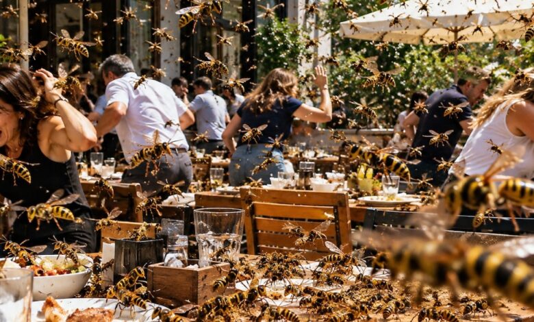 Eşek Arıları Restoranları İstila Etti: Bilimsel Açıklamalarla Gizemli Vahşi Yaşam