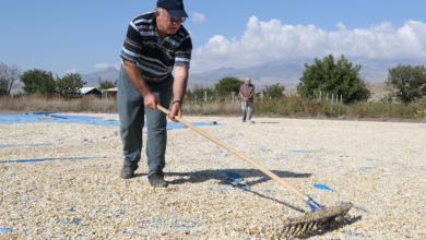 Erciyes Etrafında Sarı ve Turuncu Dönüm Dalgası: Hasat Yaklaşıyor