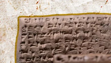 Sivas'ta 3.400 Yıllık Hitit Kraliyet Arşivi Açığa Çıktı: Tarihsel Bir Hazine