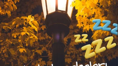 Sokak Lambalarının Bitkiler Üzerindeki Gizli Etkisi: Gece Işığının Doğayı Uyandırıp Uyandırmadığı