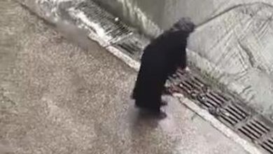 İstanbul’un Gölge Yüzü: Sosyal Medyada Dalgalar Yaratan Görüntü