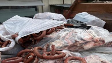 Sakarya'da 2,6 Ton Sucukta Domuz Eti Tespit Edildi: İşletme Kapatıldı