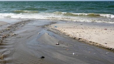 Gazze’de 3 Yıllık Saldırılar: Sessiz Bir Ekolojik Felaketin İzleri
