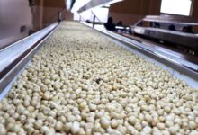 Ağustos'ta Ticaret Borsalarında 39 Bin Ton Fındık İşlem Gördü