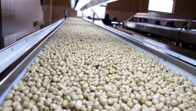 Ağustos'ta Ticaret Borsalarında 39 Bin Ton Fındık İşlem Gördü
