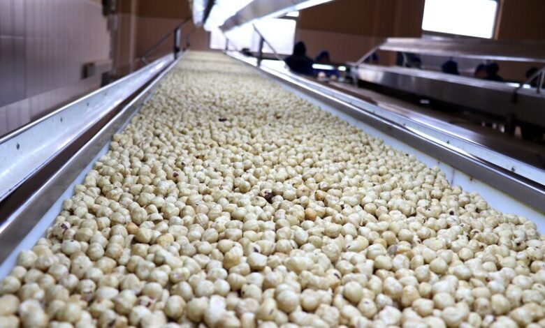 Ağustos'ta Ticaret Borsalarında 39 Bin Ton Fındık İşlem Gördü
