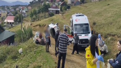 Sis Dağı Yaylası'nda Kamyonet Uçuruma Çöktü: Çok Sayıda Yaralı