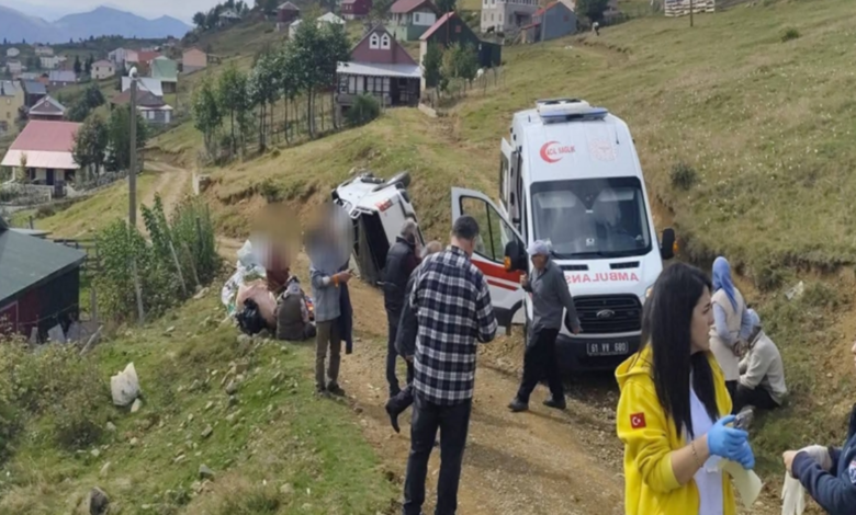 Sis Dağı Yaylası'nda Kamyonet Uçuruma Çöktü: Çok Sayıda Yaralı